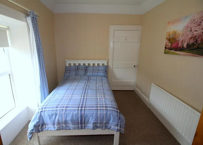 Alcorn's * 拉斯姆兰